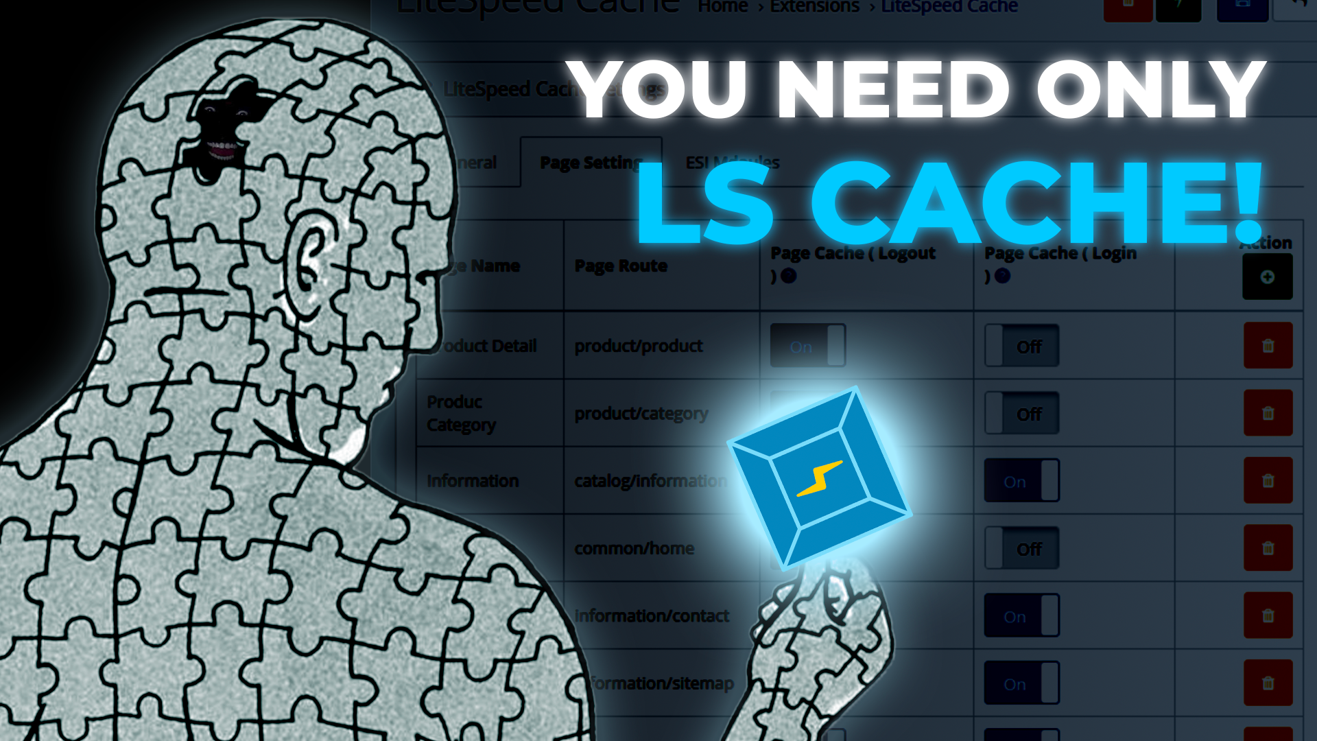 WordPress Cache Plugin
